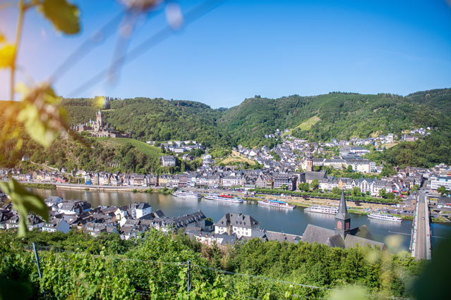 Moselpanorama